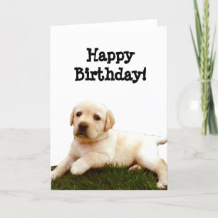 Joyeux anniversaire Labrador chiot carte de voeux