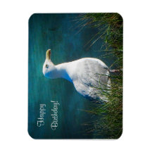 Joyeux Anniversaire Magnet de Mouette