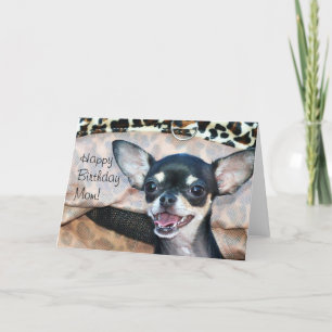 Joyeux anniversaire Maman Chihuahua carte de voeux