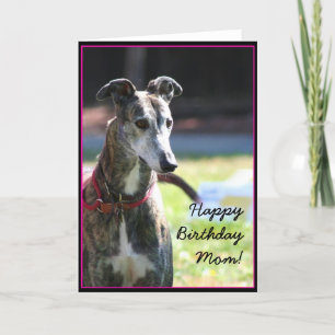 Joyeux anniversaire maman Greyhound carte de voeux