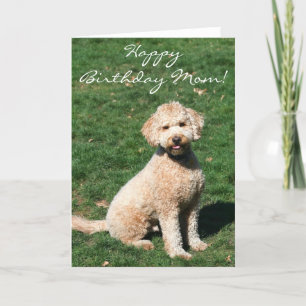 Joyeux anniversaire Maman Mini Goldendoodle carte 
