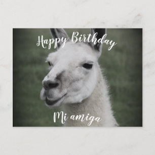 Joyeux Anniversaire "Mi Amiga" Carte postale Lama