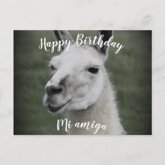 Joyeux Anniversaire "Mi Amiga" carte postale LLama