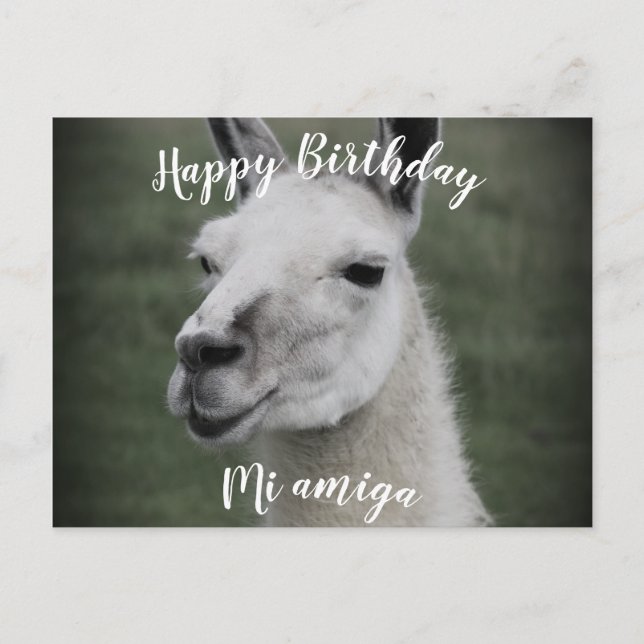 Joyeux Anniversaire "Mi Amiga" LLama carte postale (Devant)