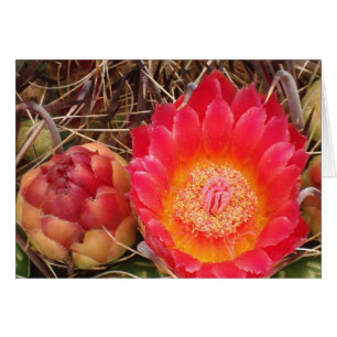 Joyeux anniversaire Nana Bright Pink Cactus Bloom 