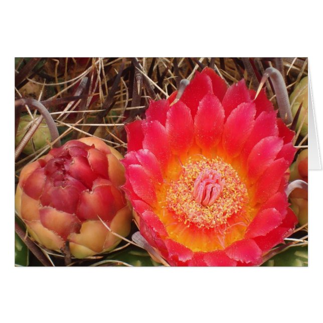 Joyeux anniversaire Nana Bright Pink Cactus Bloom  (Devant horizontal)