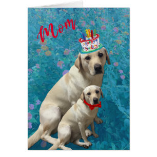 Joyeux anniversaire pour maman - Chiens du Labrado