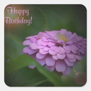 Joyeux Anniversaire Sticker Carré Zinnia brillant