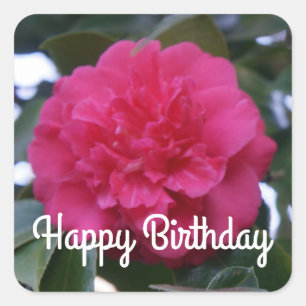 Joyeux Anniversaire Stickers Daikagura Camellia Ro