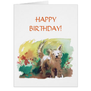 Joyeux anniversaire ! West highland terrier !
