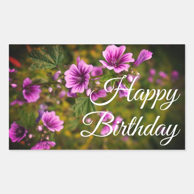 Joyeux Anniversaire Zebra Hollyhock #2-2 Stickers (Devant)
