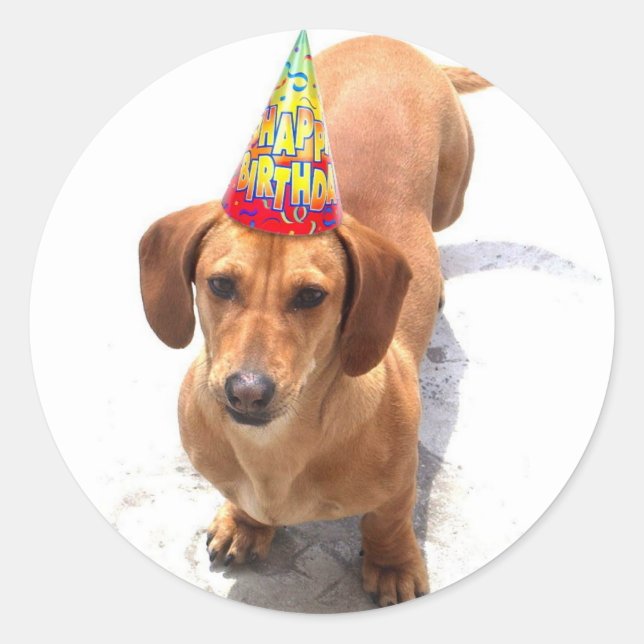 Joyeux autocollants Anniversaire Dachshund (Devant)