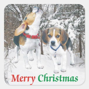 Joyeux Beagle de Noël Snowy Woods Stickers