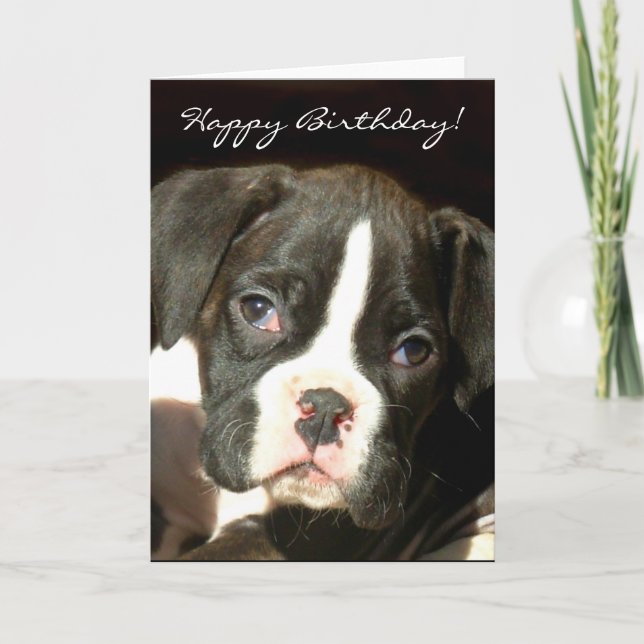 Joyeux Birthday Brindle boxer chiot carte de voeux (Devant)