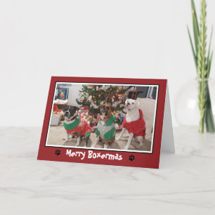 Joyeux Boxermas Boxer Chien de Noël Carte de Noël