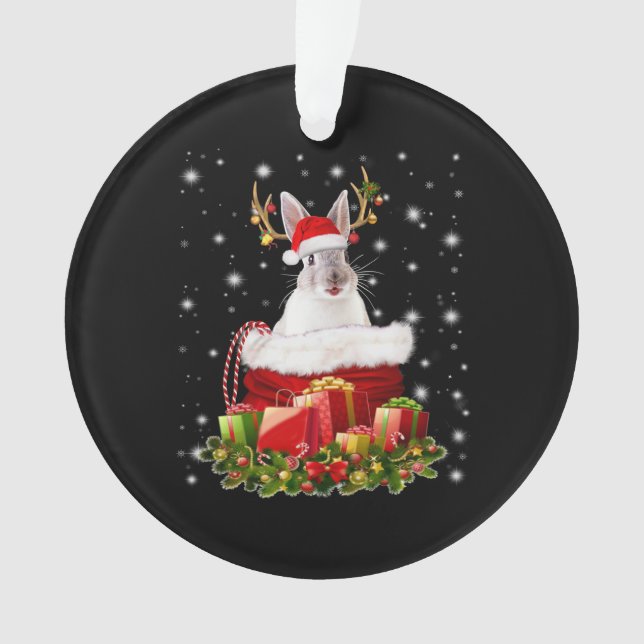 Joyeux cadeau de lapin de Noël pour lapin amant (devant)