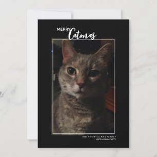 Joyeux Catmas Pet Photo Carte de vacances