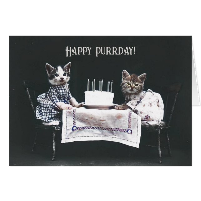Joyeux Chats d'Anniversaire Vintage Blank Carte pl (Devant horizontal)