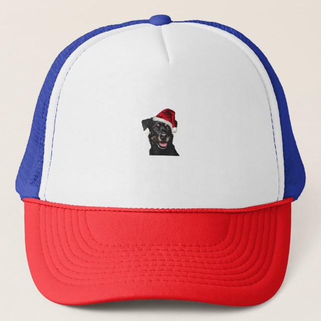 Joyeux chien avec le costume Casquette du Père Noë (Devant)