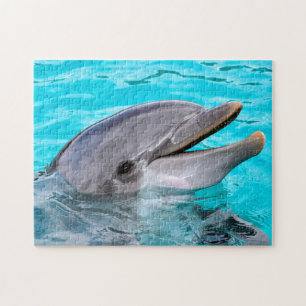 Joyeux dauphin de Bottlenose, puzzle