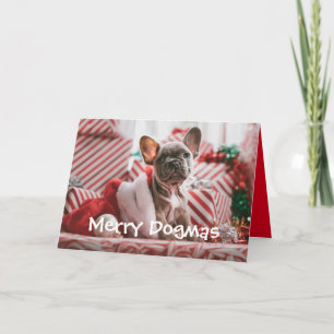 Joyeux Dogmas Carte de Noël du chien