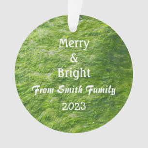 Joyeux et lumineux Noël Nom personnalisé Sea Moss 