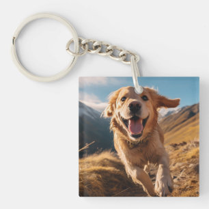 Joyeux Golden Retriever en cours