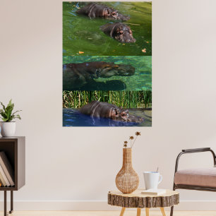 Joyeux Hippopotames Dans Un Étang, Poster