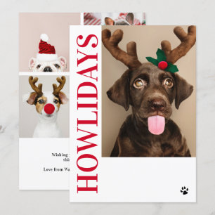 Joyeux Howlidays Chien Noël 5 Carte photo