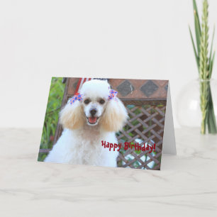 Joyeux Jouet Poodle Chien carte de voeux