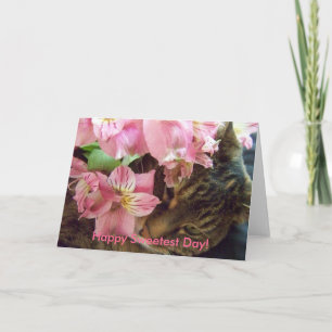 Joyeux Jour le plus Doux !  Carte de voeux