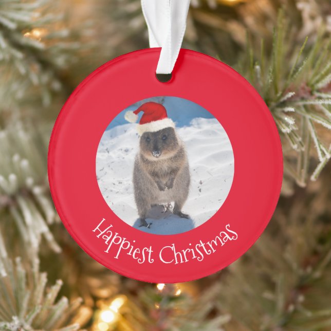 Joyeux Joyeux Noël Quokka Beach Australie (Arbre)