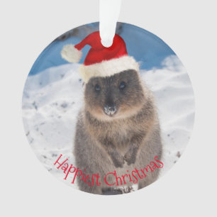 Joyeux Joyeux Noël Quokka Beach Australie