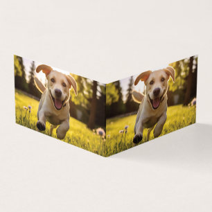 Joyeux Labrador Puppy Running