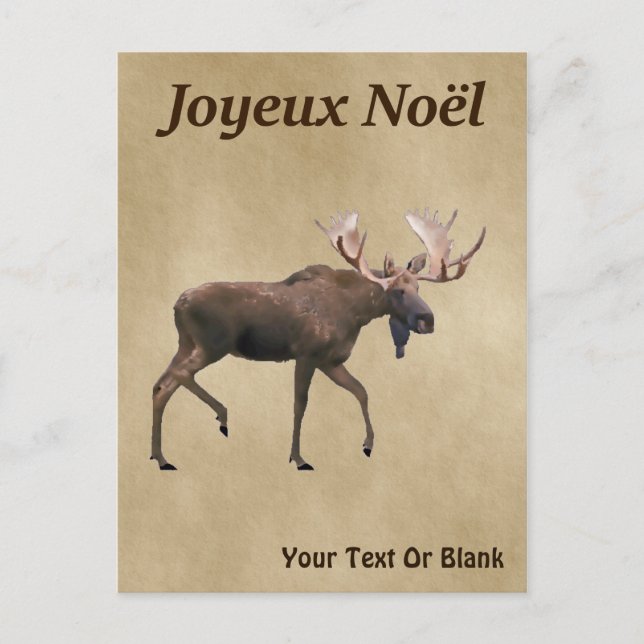 Joyeux Noё l - Bull Moose on Old Paper Postkarte (Vorderseite)
