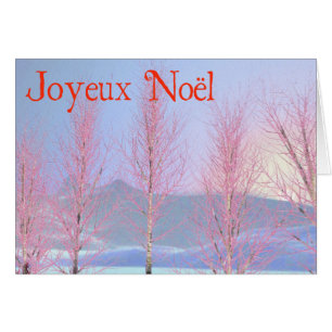 Joyeux Noё l - Framboise
