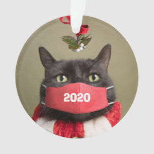 Joyeux Noël 2020 Chat en masque de visage covid
