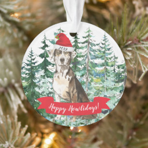 Joyeux Noël à Catahoula Leopard