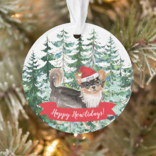 Joyeux Noël à Haired Chihuahua