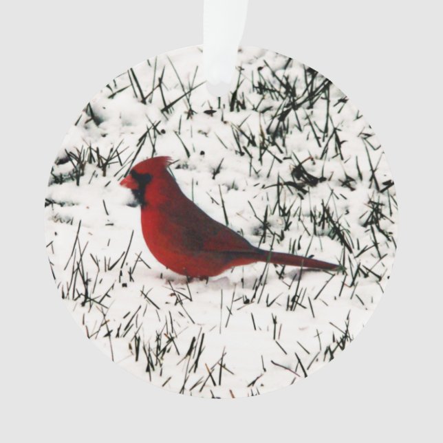 Joyeux Noël Cardinal à double face (devant)