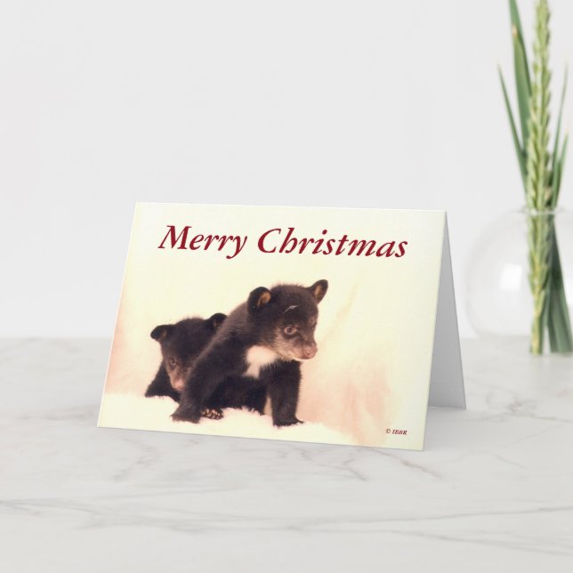 Joyeux Noël - Carte de voeux Lakota & Paiute (Devant)