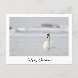 Joyeux Noël ! carte postale