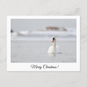 Joyeux Noël ! carte postale