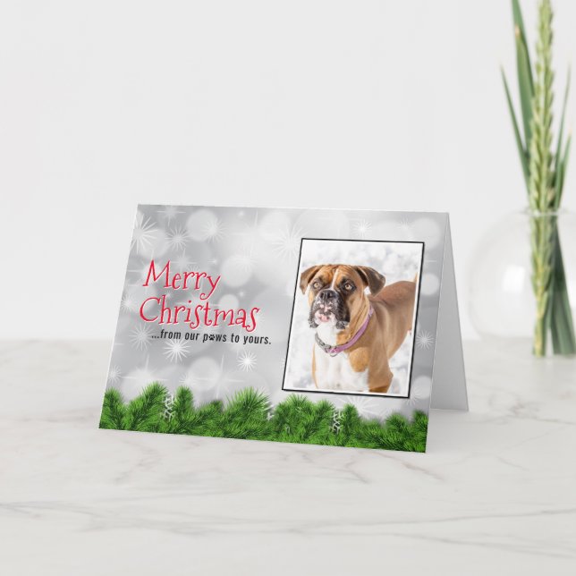 Joyeux Noël Cartes de Chien - Boxe Chien Noël (Devant)