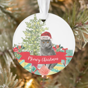 Joyeux Noël chat British Shorthair