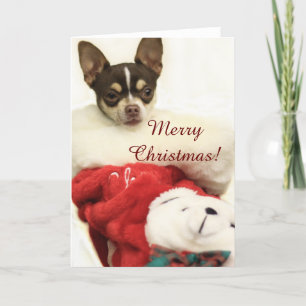 Joyeux Noël Chihuahua carte de voeux
