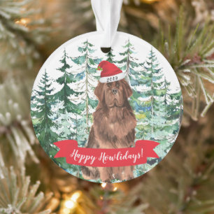 Joyeux Noël de chien de Terre-Neuve