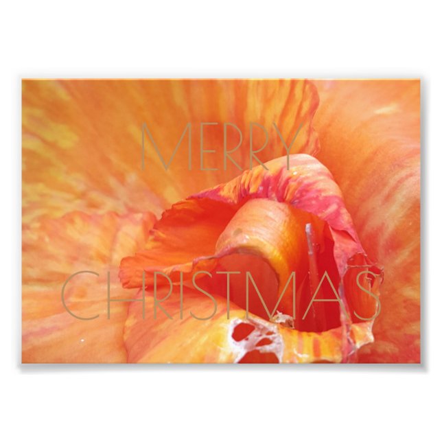 Joyeux Noël Floral Orange Flower Photographie (Devant)