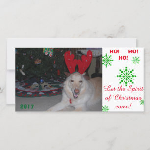 Joyeux Noël GSD German Shepherd carte drôle