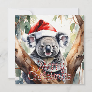 Joyeux Noël Koala assis dans la carte de gommier